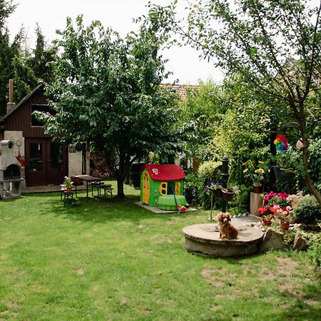 Podkrovni Apartman S Vyhledem Na Namesti Lomnice nad Luznici Exterior photo